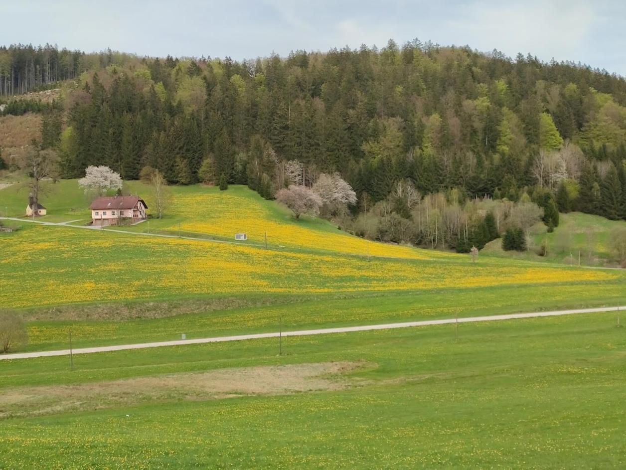 Ferienhaus Schoeller Schönbach Exterior foto